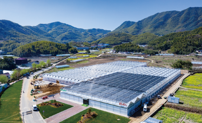 中信銀行提供貸款支持的浙江省余姚市梁弄鎮(zhèn)橫坎頭村蔬菜無土栽培基地項目。