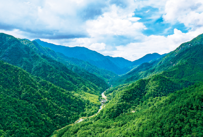 廣西法學(xué)會(huì)首席法律咨詢(xún)專(zhuān)家團(tuán)隊(duì)經(jīng)過(guò)努力，成功化解賀州姑婆山天沐溫泉國(guó)際旅 游度假區(qū)項(xiàng)目因轉(zhuǎn)包引發(fā)的勞務(wù)糾紛，切實(shí)維護(hù)了人民群眾合法權(quán)益。圖為姑婆山自治 區(qū)級(jí)自然保護(hù)區(qū)一角。