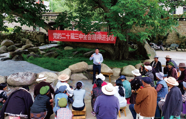 2024年7月23日，在四川省甘孜州稻城縣香格里拉鎮(zhèn)熱光村的百年核桃樹(shù)下，瀘州幫扶 稻城工作隊(duì)領(lǐng)隊(duì)向當(dāng)?shù)厝罕娦v黨的二十屆三中全會(huì)精神。