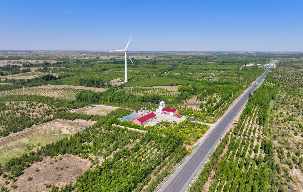 在內蒙古通遼市，科爾沁沙地正漸漸披上綠裝。新華社記者連振 攝