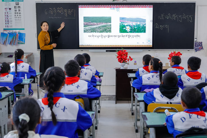 2024年9月27日，在四川省甘孜藏族自治州道孚縣城關(guān)第一完全小學(xué)，采取“藏加模式”教學(xué)的五年級(jí)一班的藏語(yǔ)文課上，準(zhǔn)木周老師指導(dǎo)藏族學(xué)生以家鄉(xiāng)草原風(fēng)物為主題寫(xiě)作藏語(yǔ)文作文。新華社記者 沈伯韓 攝